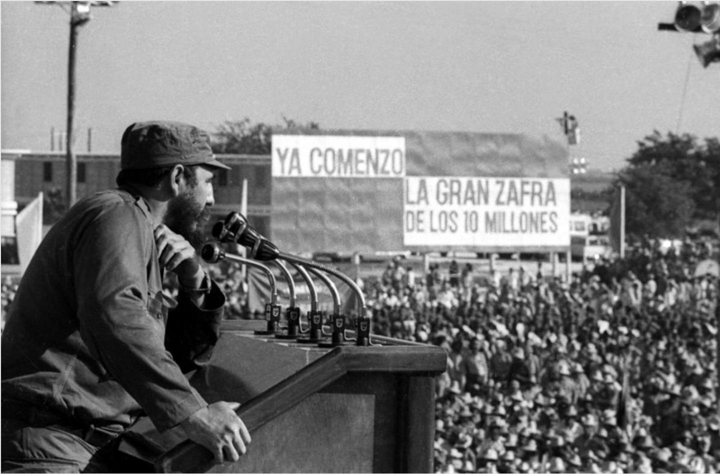 Zafra azucarera